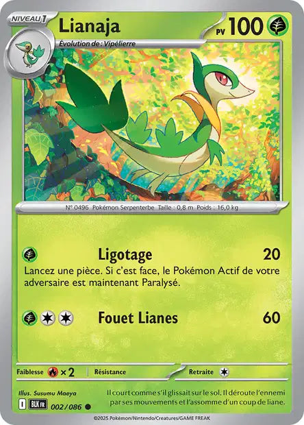 002/086 - Lianaja
