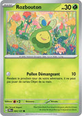 004/131 - Rozbouton