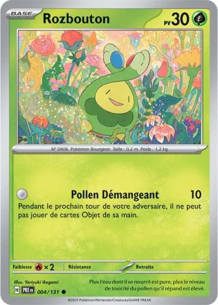 004/131 - Rozbouton