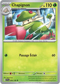 004/198 - Chapignon