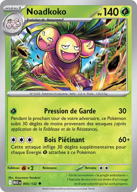 005/132 - Noadkoko