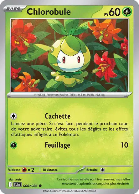 006/086 - Chlorobule