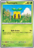 006/167 - Tournegrin