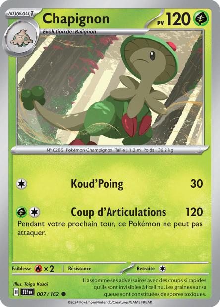 007/162 - Chapignon