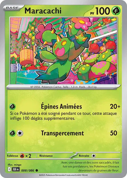 008/086 - Maracachi