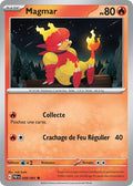 009/091 - Magmar