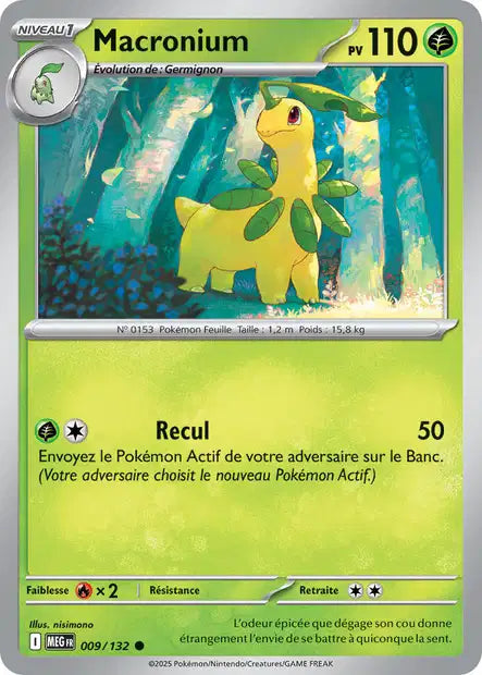 009/132 - Macronium