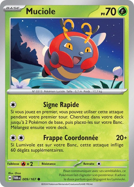 009/167 - Muciole