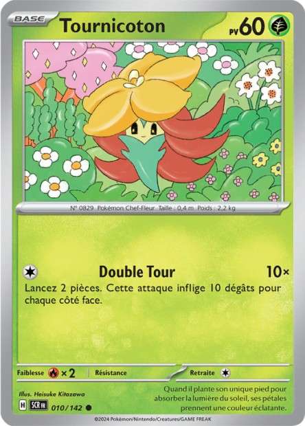 010/142 - Tournicoton