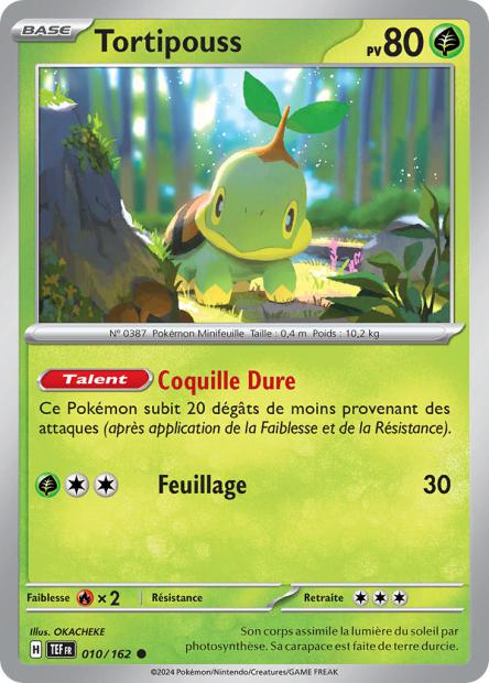 010/162 - Tortipouss