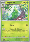 011/165 - Chrysacier