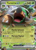 012/162 - Torterra EX