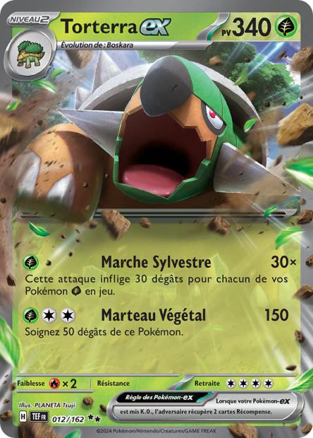 012/162 - Torterra EX