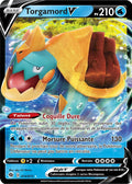 014/073 - Torgamord V