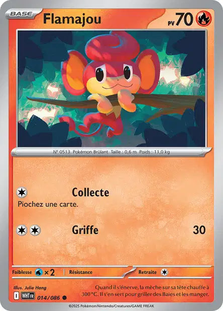 014/086 - Flamajou