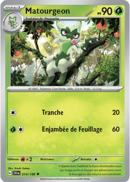 014/198 - Matourgeon