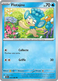 017/086 - Flotajou