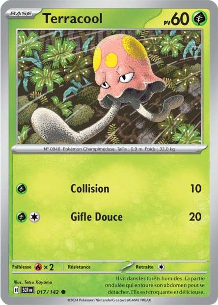 017/142 - Terracool