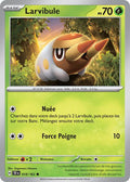 018/162 - Larvibule