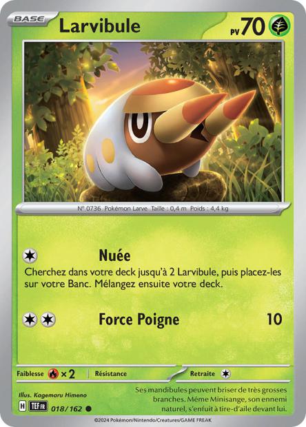 018/162 - Larvibule