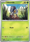 019/159 - Lilliterelle