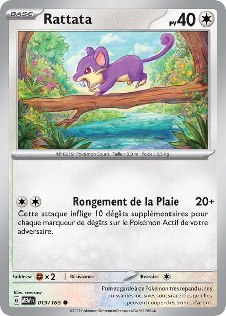 019/165 - Rattata