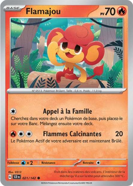021/142 - Flamajou