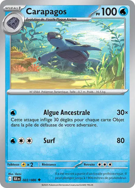 022/086 - Carapagos