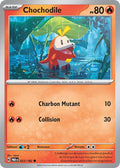 023/182 - Chochodile