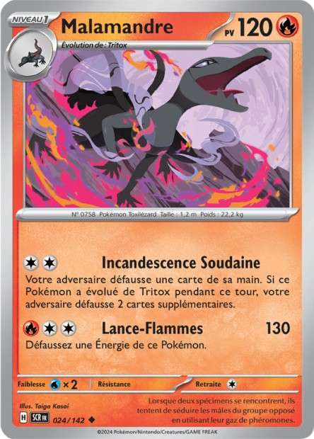 024/142 - Malamandre