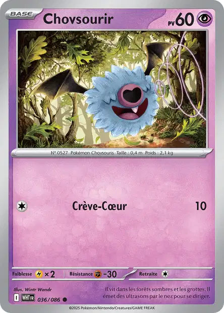 036/086  Chovsourir