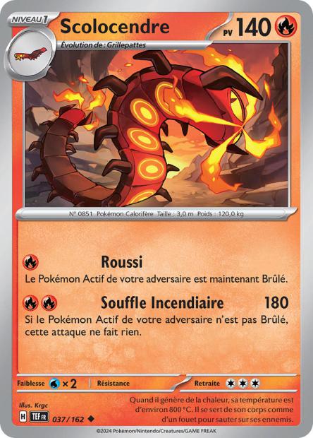 037/162 - Scolocendre