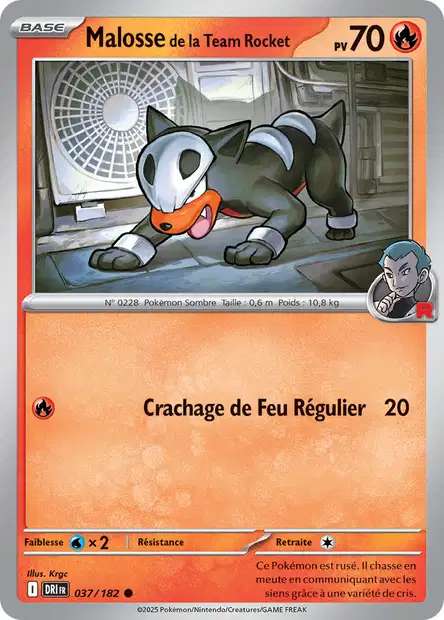 037/182 - Malosse de la Team Rocket