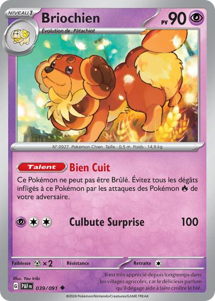 039/091 - Briochien