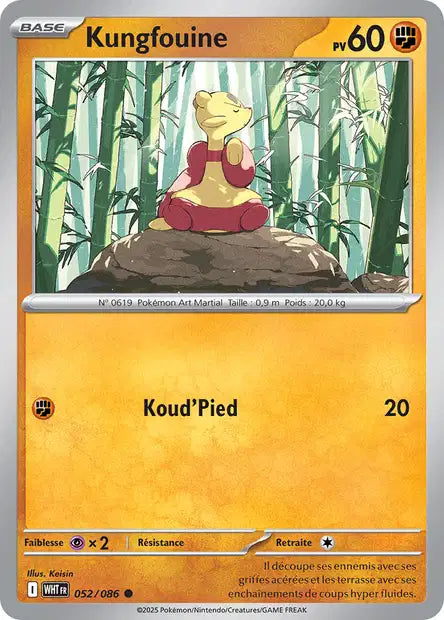 052/086 - Kungfouine