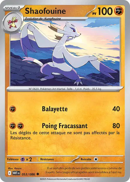 053/086 - Shaofouine