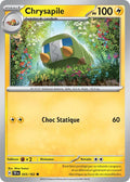 055/162 - Chrysapile