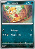 060/091 - Baggiguane