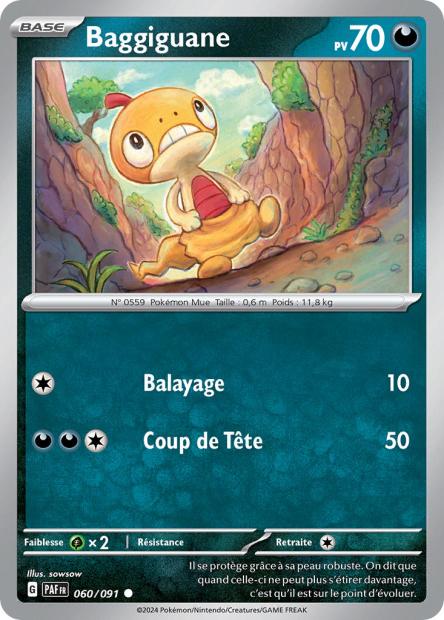 060/091 - Baggiguane