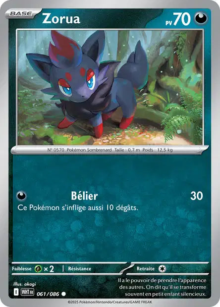 061/086 - Zorua