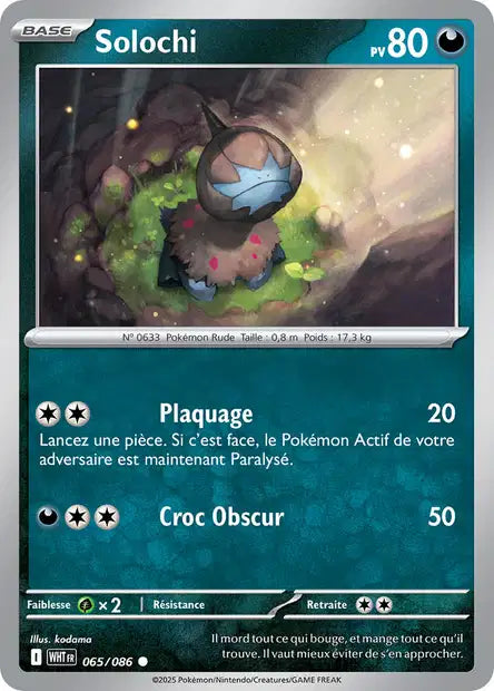 065/086 - Solochi