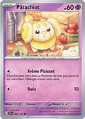 066/142 - Pâtachiot
