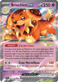 067/142 - Briochien EX