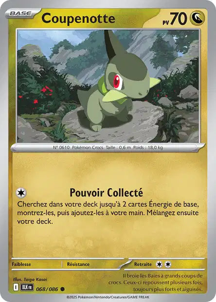068/086 - Coupenotte