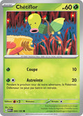 069/165 - Chétiflor