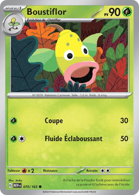 070/165 - Boustiflor