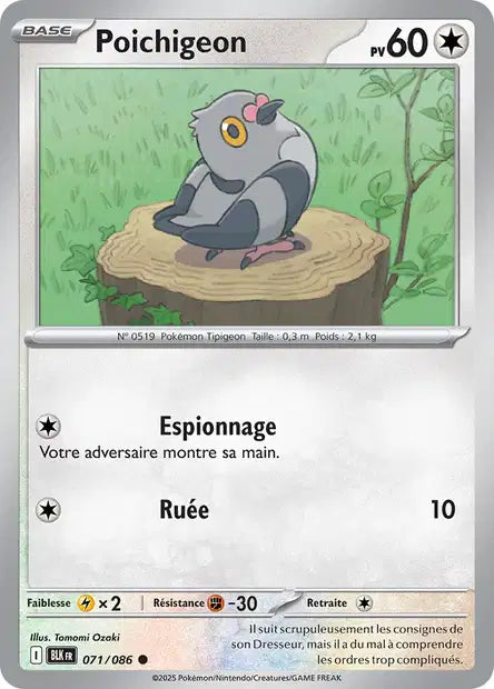 071/086 - Poichigeon
