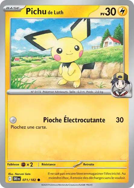 071/182 - Pichu de Luth