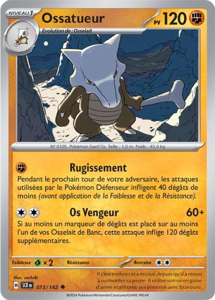 073/142 - Ossatueur