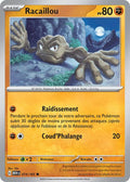 074/165 - Racaillou
